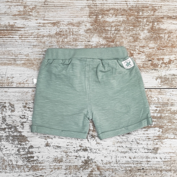 Bermuda sea green
