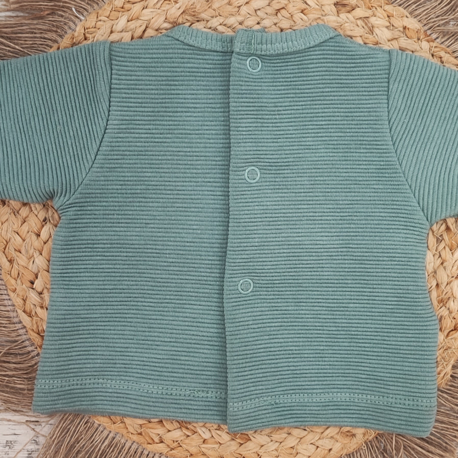 Conjunto polaina Céfiro verde