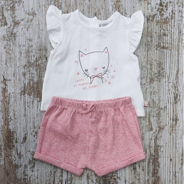 Conjunto mini cat
